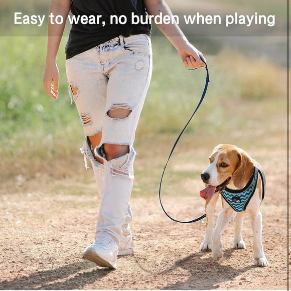 Vest Harness for Small breed Dogs, Reflective Harness and Leash - Picture 5 of 7